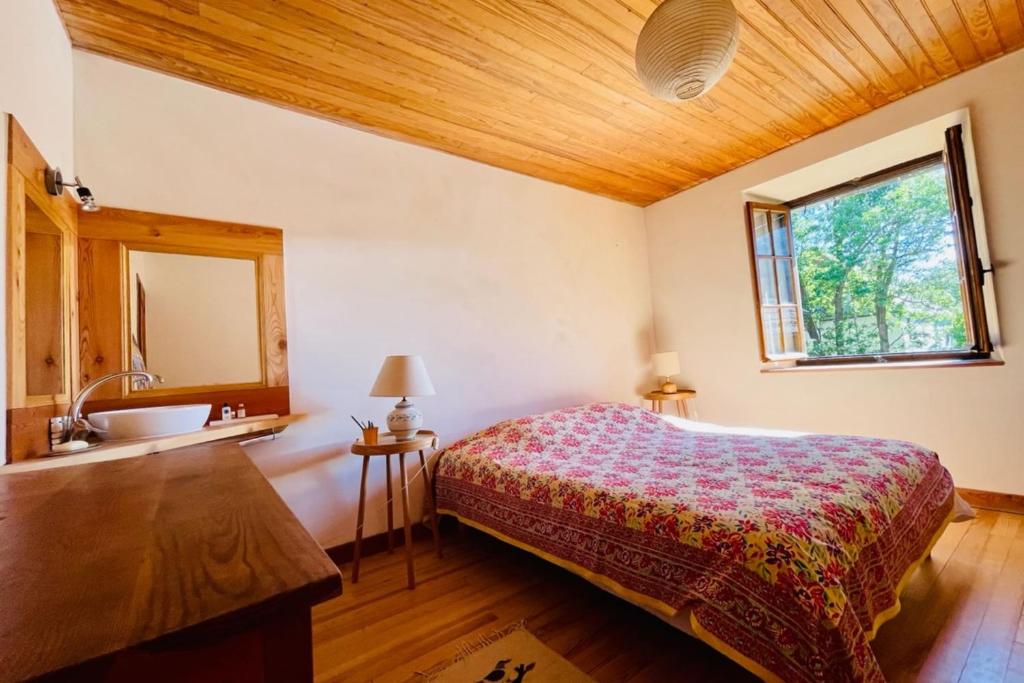 Large family nest with garden gite pied des pistes 4