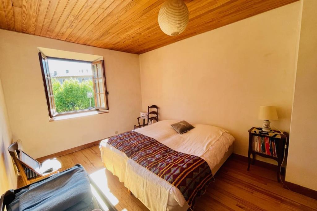 Large family nest with garden gite pied des pistes 6