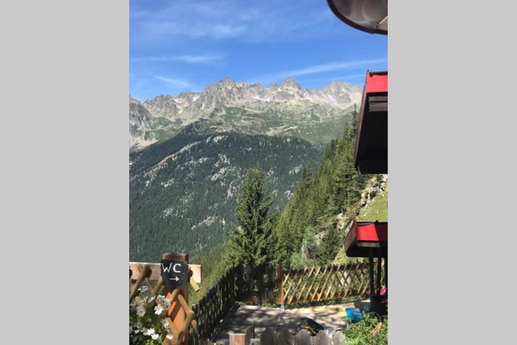 Large premium alpine apartment for 4 to 8 people appartement pied des pistes 13