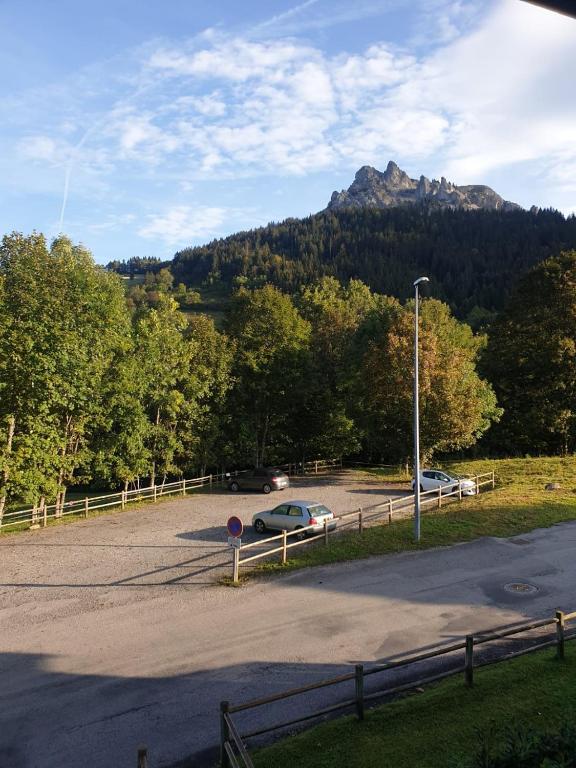 Le 67ski et randonneelave lingeseche lingeparking appartement pied des pistes 17