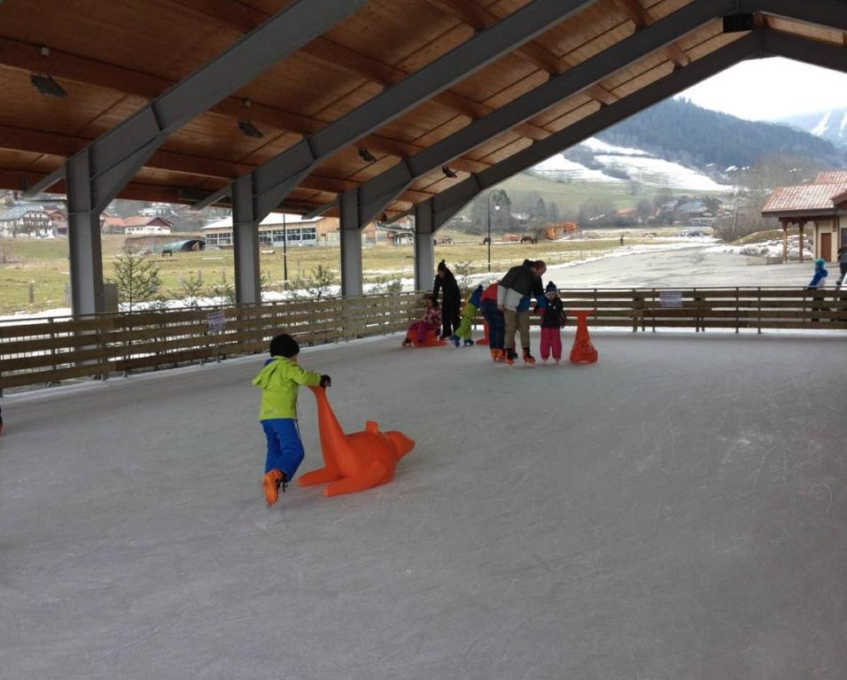Le 67ski et randonneelave lingeseche lingeparking appartement pied des pistes 4