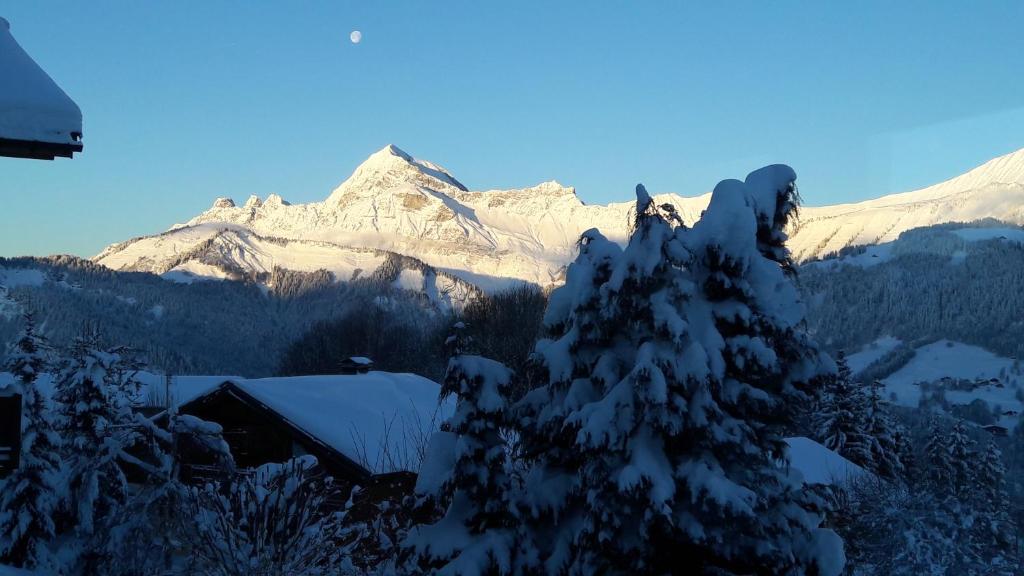 Le Caprice Des Neiges hotel pied des pistes 10