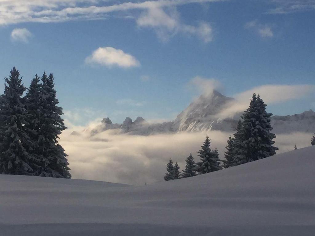 Le Caprice Des Neiges hotel pied des pistes 9