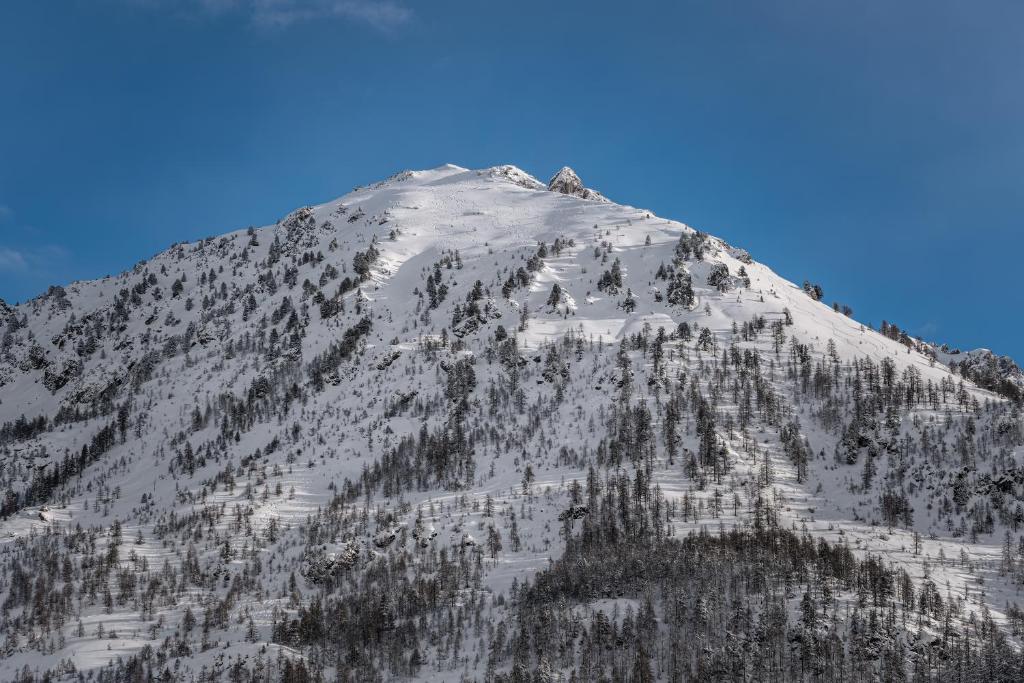 Le Chalet Blanc Hotel Spa hotel pied des pistes 14