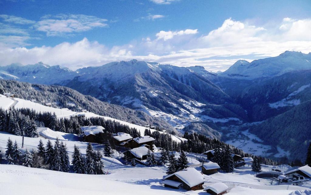 Le Chalet de Bisanne hotel pied des pistes 10