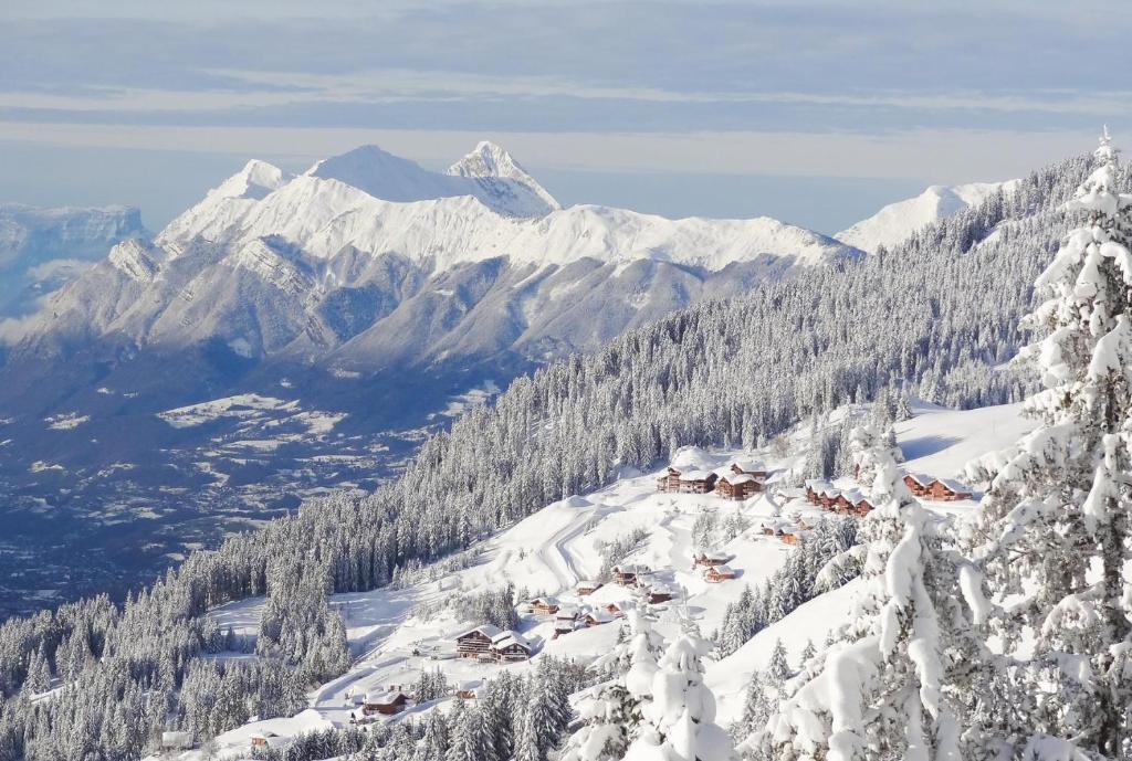 Le Chalet de Bisanne hotel pied des pistes 11