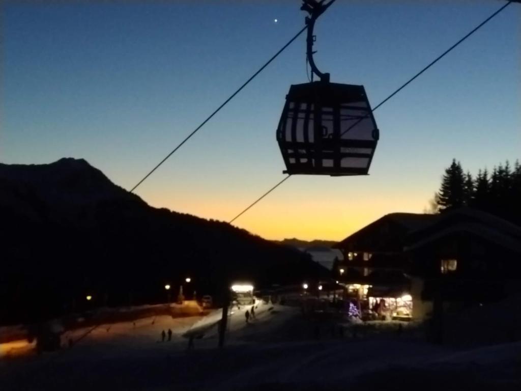 Le Chalet de Bisanne hotel pied des pistes 15