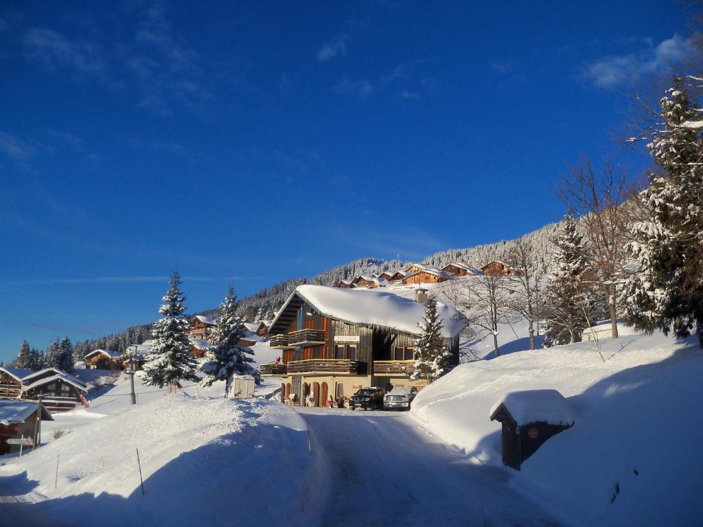 Le Chalet de Bisanne hotel pied des pistes 7