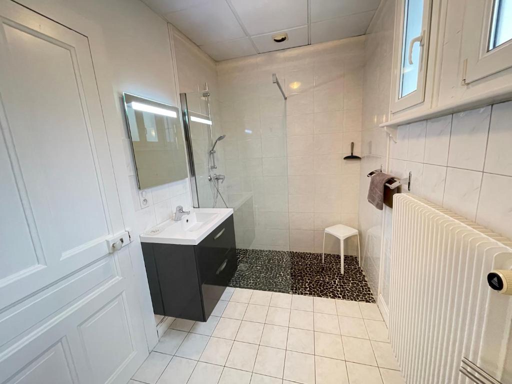 Le Chamois appartement pied des pistes 2
