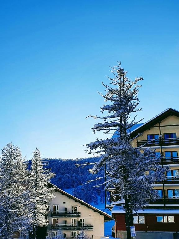 Le Choucas appartement pied des pistes 10