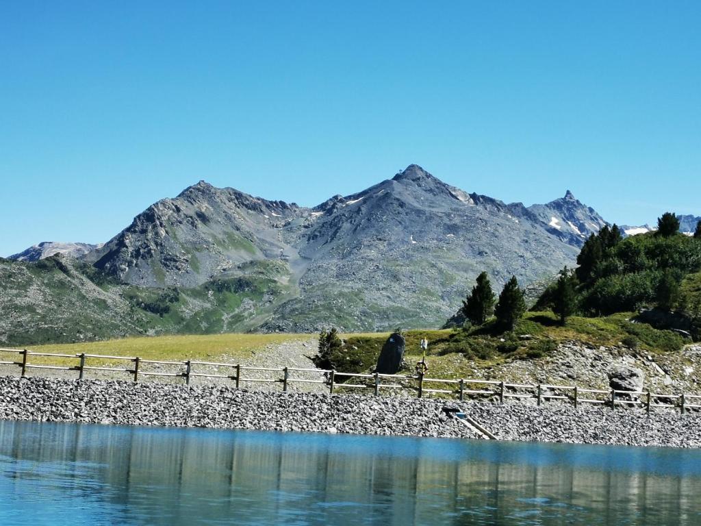 Le Creux de lOurs au pied des pistes animaux acceptes appartement pied des pistes 10