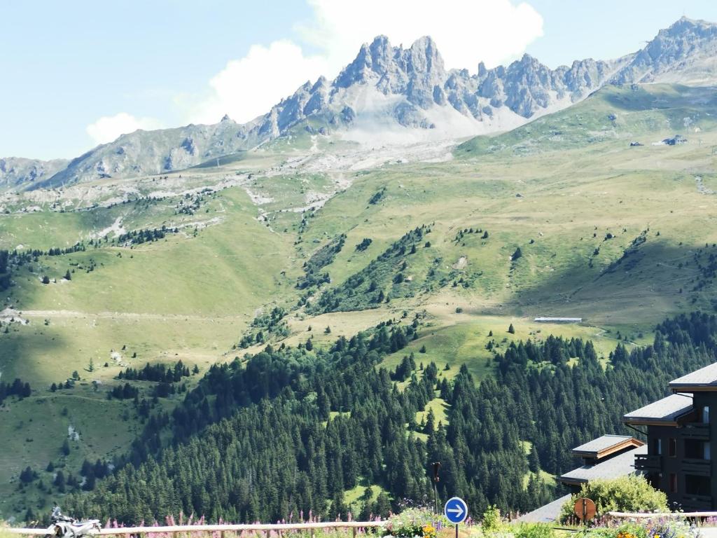 Le Creux de lOurs au pied des pistes animaux acceptes appartement pied des pistes 11