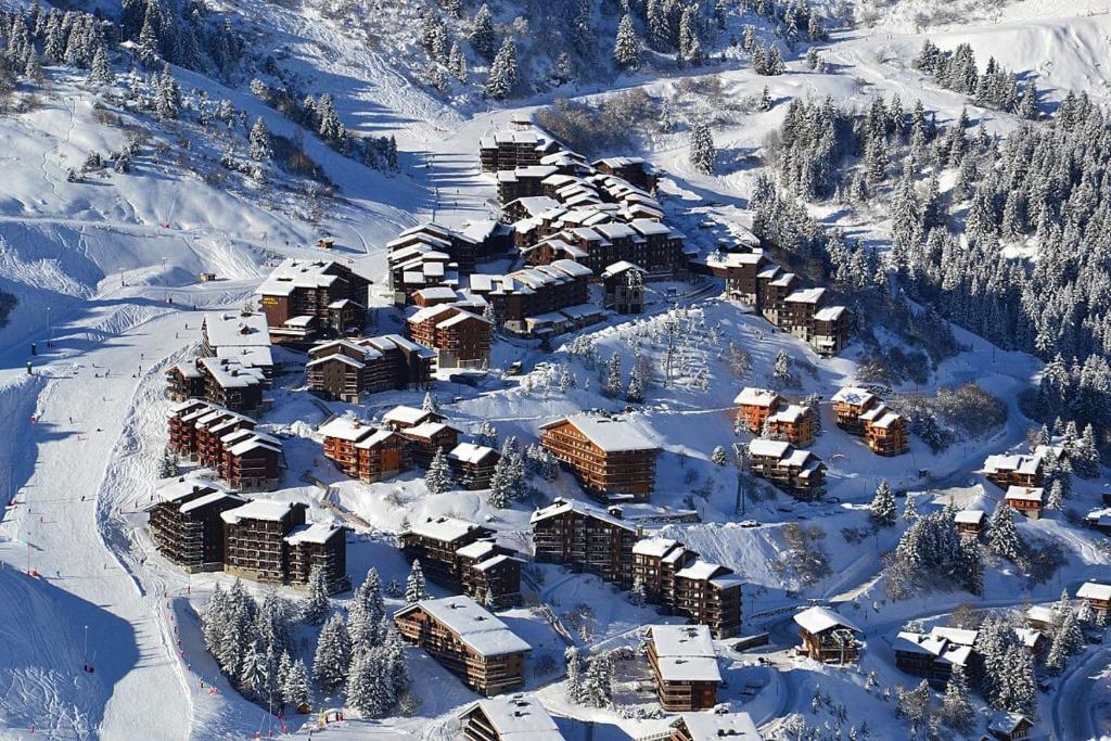 Le Creux de lOurs au pied des pistes animaux acceptes appartement pied des pistes 4