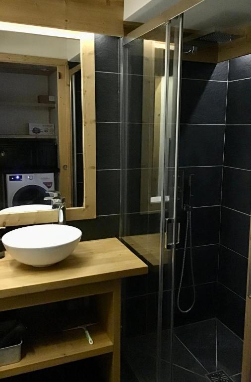 Le Flocon 6 personnes appartement pied des pistes 13