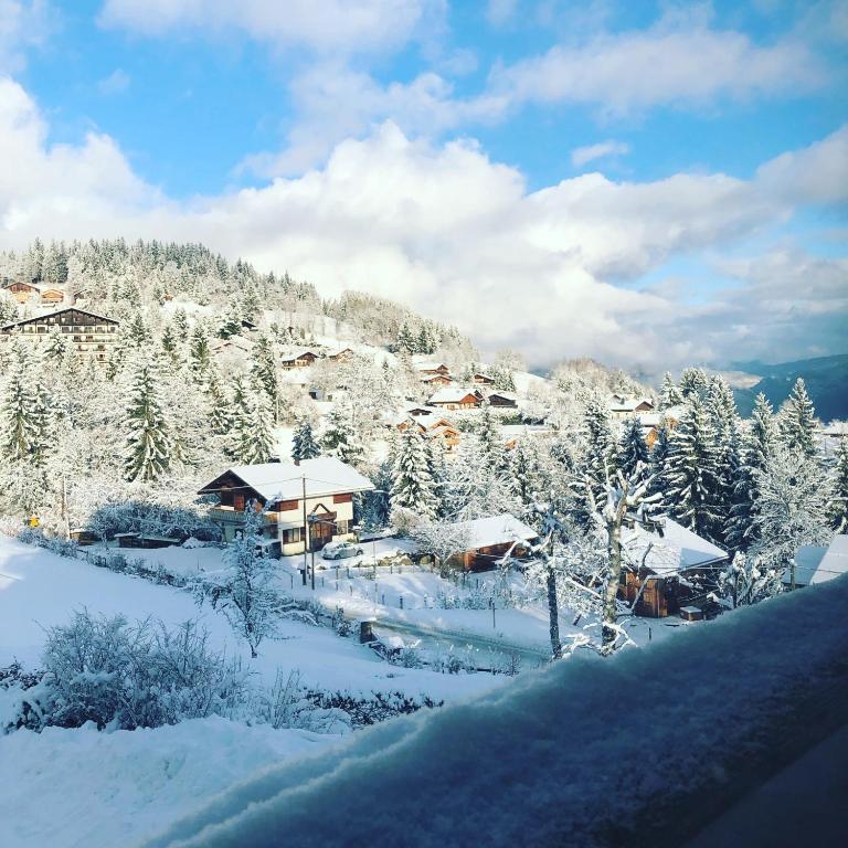 Le Floralp hotel pied des pistes 7