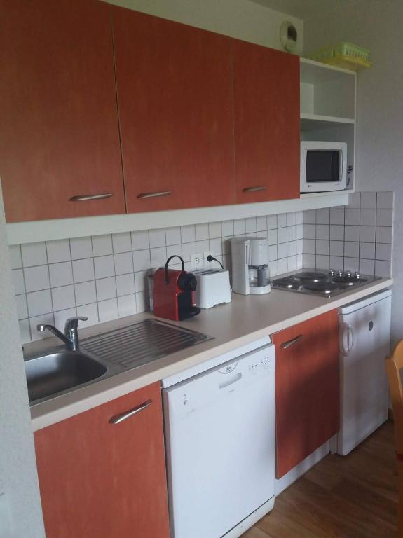 Le Hameau des Ecrins Station 1800 appartement pied des pistes 3