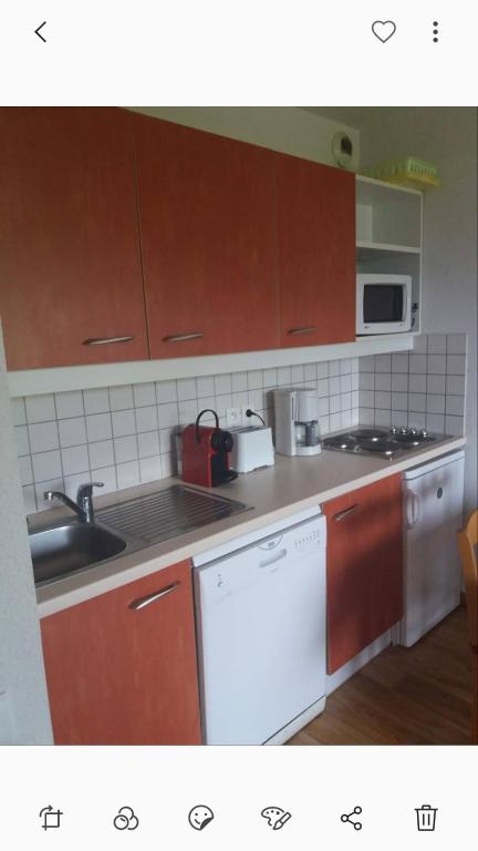 Le Hameau des Ecrins Station 1800 appartement pied des pistes 7