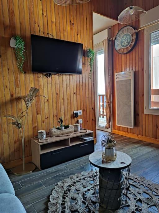 Le Loft Dore appartement pied des pistes 12