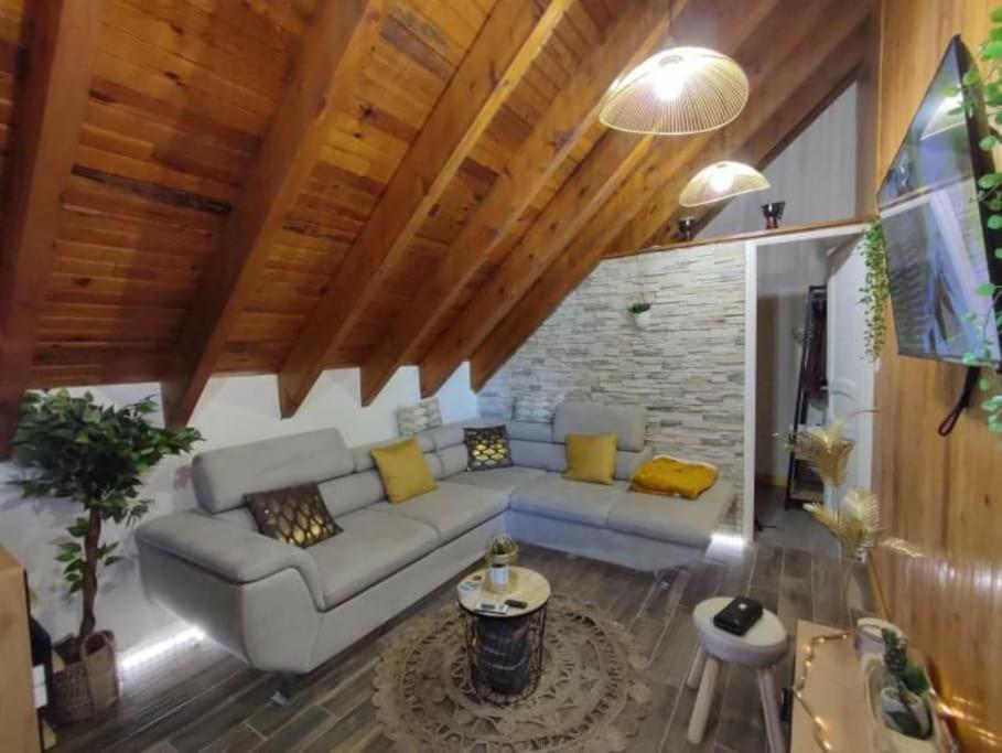 Le Loft Dore appartement pied des pistes 5