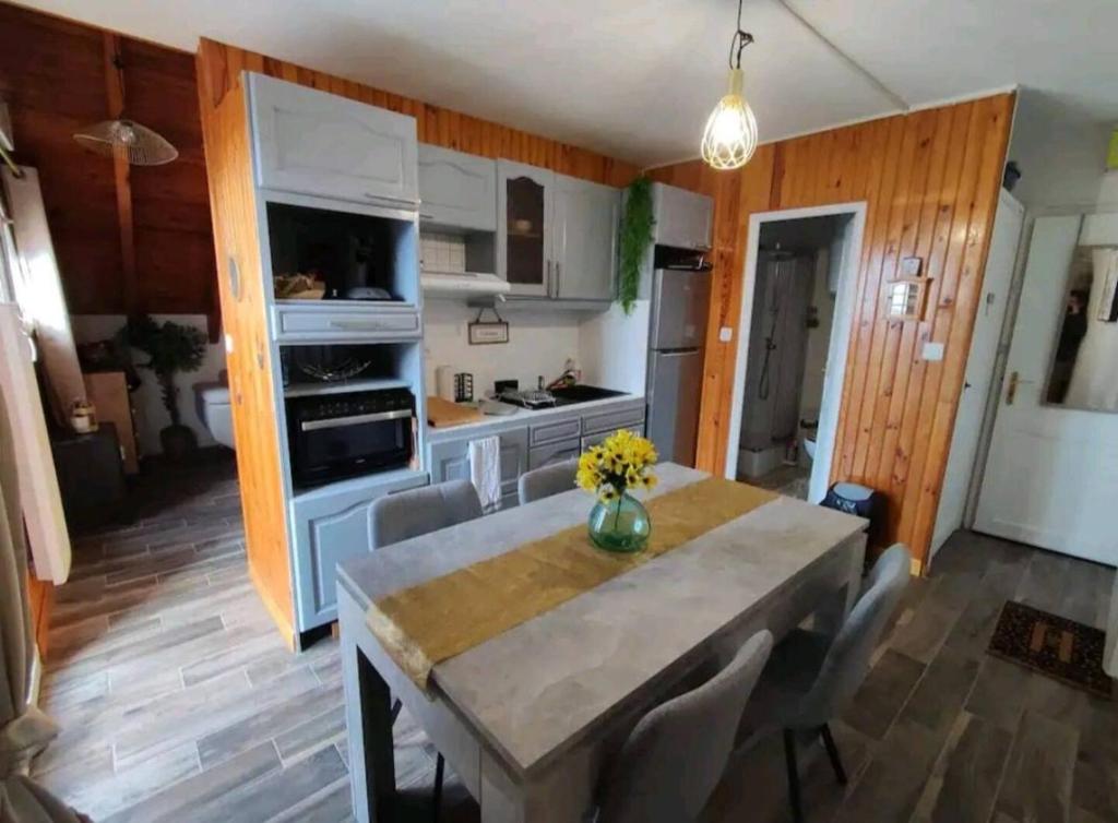 Le Loft Dore appartement pied des pistes 9