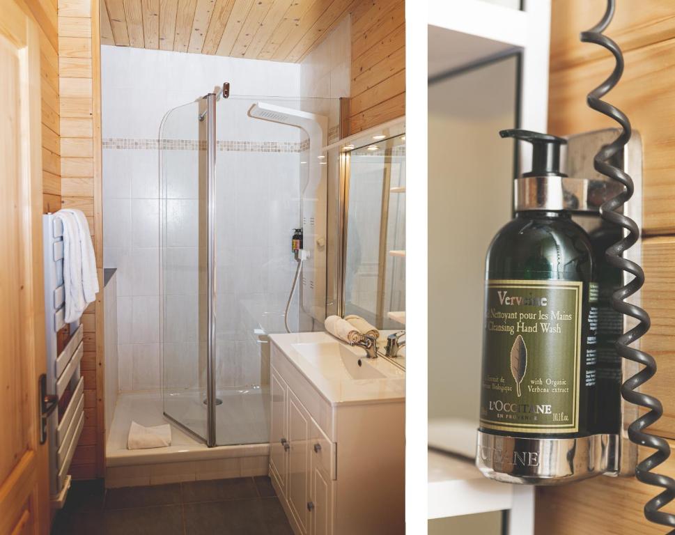 Le Loup Blanc hotel pied des pistes 6