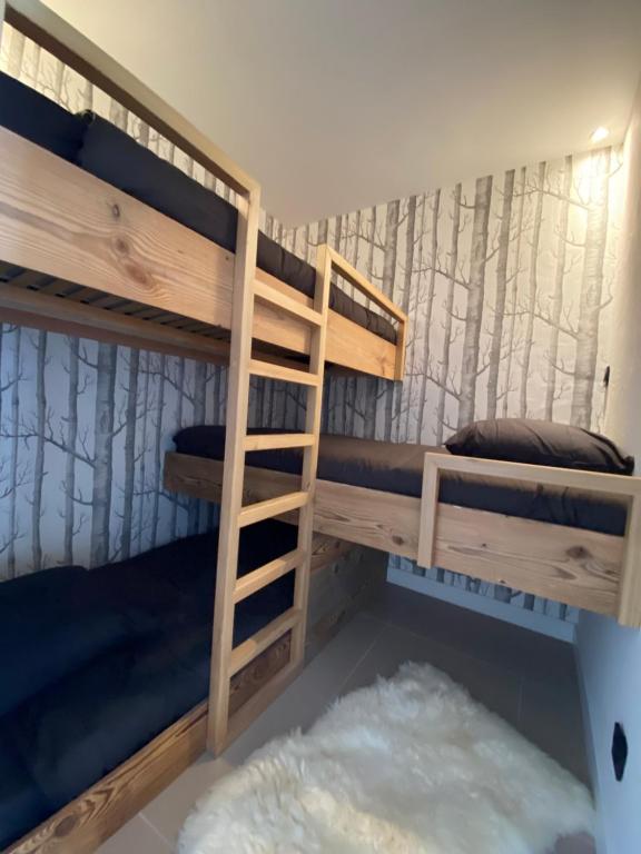 Le Marlou appartement pied des pistes 5