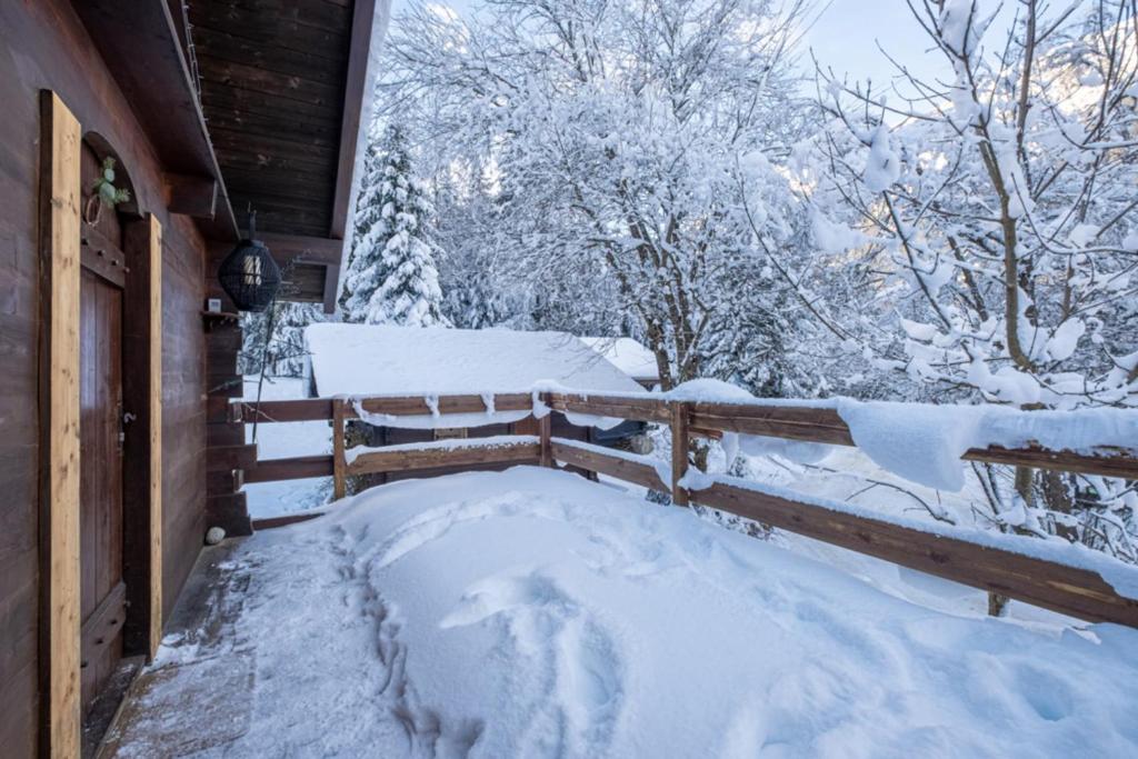 Le Mazot mezzanine with nice view chalet pied des pistes 10