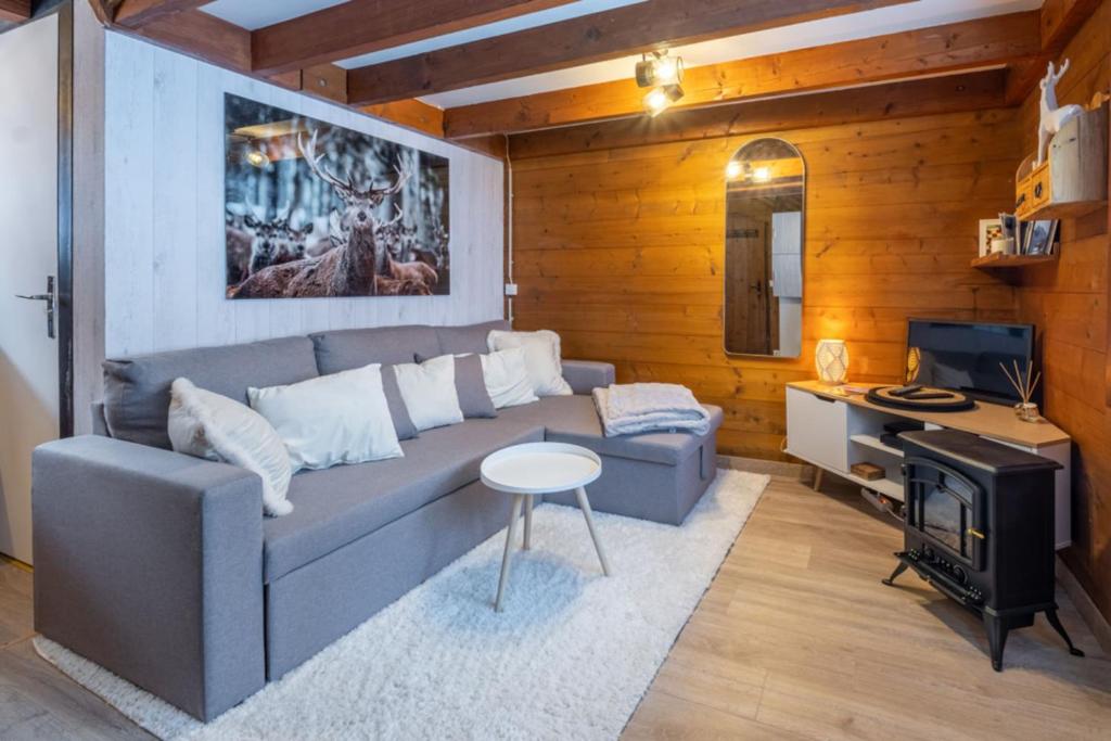 Le Mazot mezzanine with nice view chalet pied des pistes 3