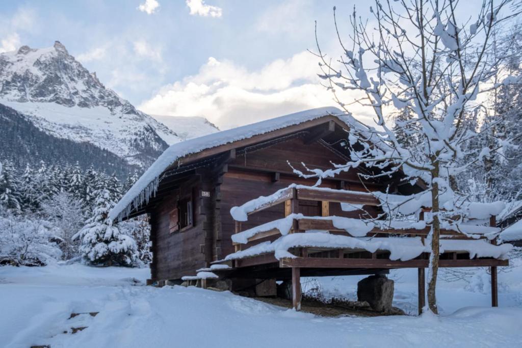 Le Mazot mezzanine with nice view chalet pied des pistes