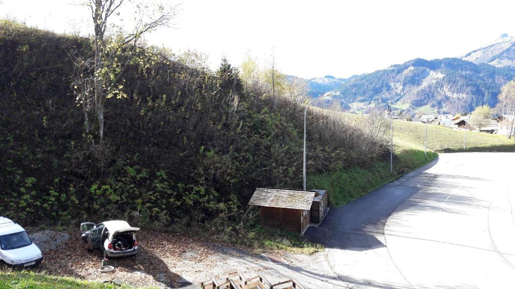 Le Narcisse Crest Voland appartement pied des pistes 13