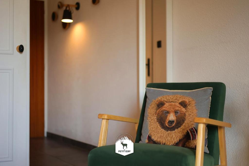Le Petit Ours Le Petit Cerf Studios vue lac montagnes appartement pied des pistes 13
