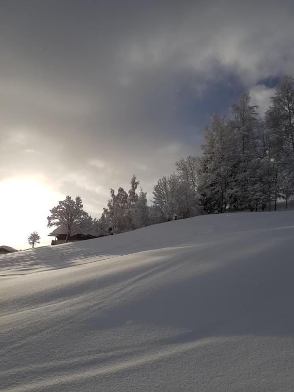 Le Refuge gite pied des pistes 10