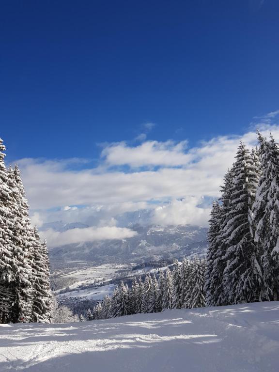 Le Refuge gite pied des pistes 8