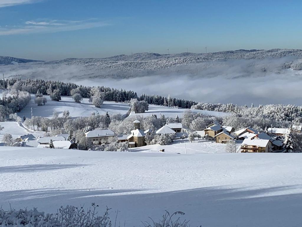 Le Relais Nordique hotel pied des pistes 10