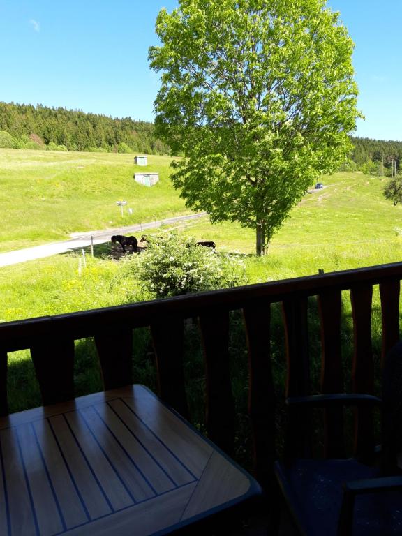 Le Relais Nordique hotel pied des pistes 12