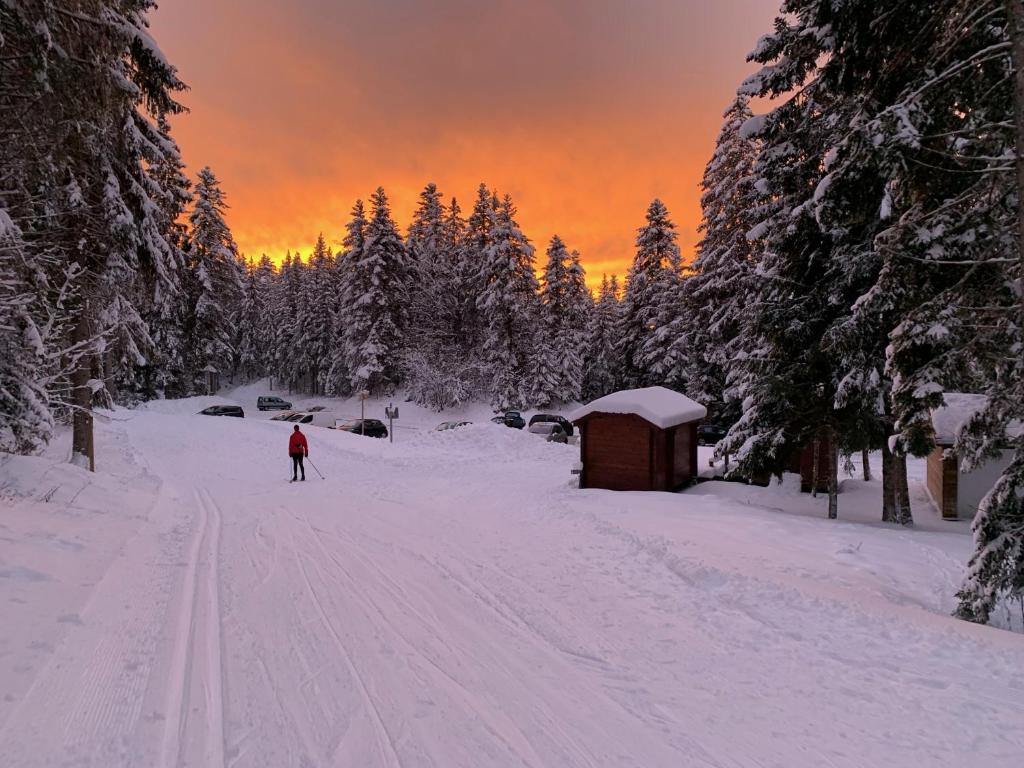 Le Relais Nordique hotel pied des pistes 7