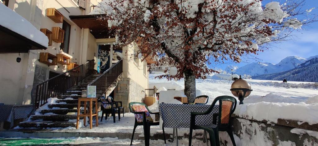 Le Rookie Mountain hotel pied des pistes 4