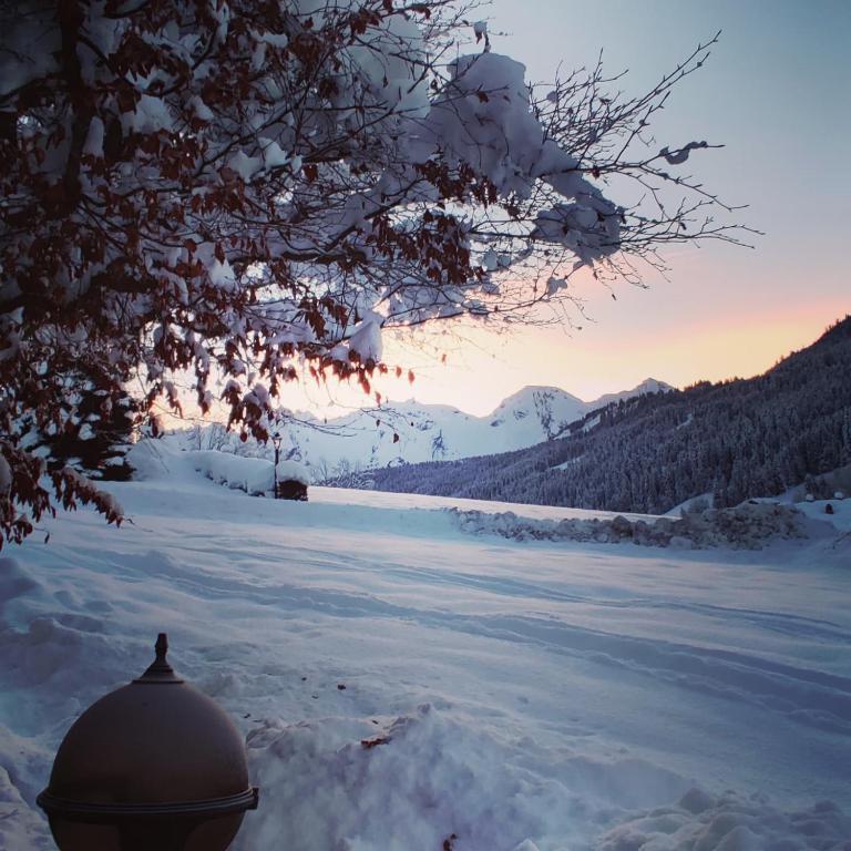 Le Rookie Mountain hotel pied des pistes 7