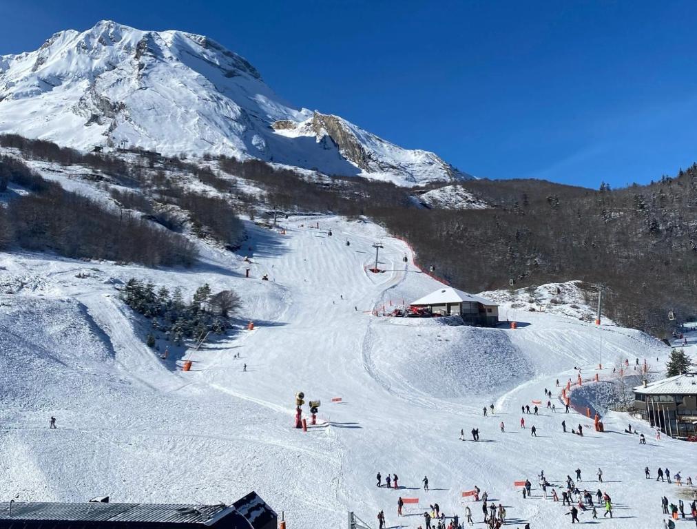 Le Skidoux 2 au pied des pistes vue montagne appartement pied des pistes 4