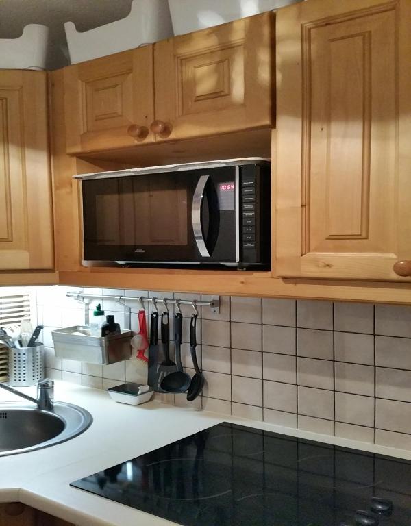 Le Skisun Massif et Parc national des Ecrins Puy Saint Vincent 1800 appartement pied des pistes 3