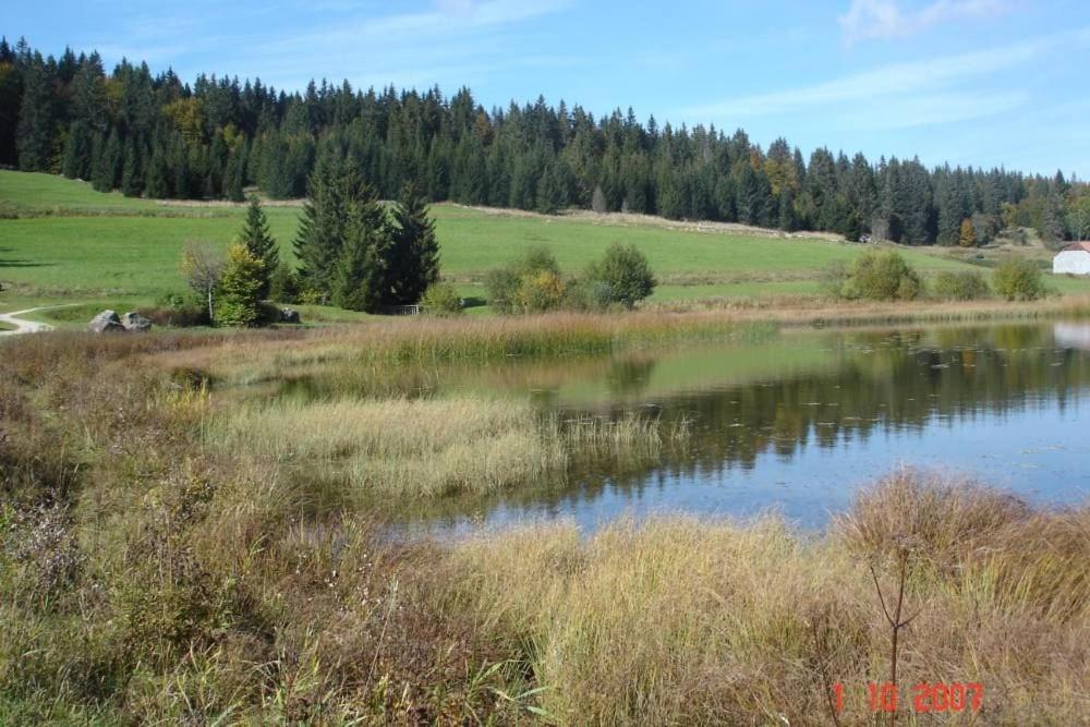 Le TETRAS gite pied des pistes 14