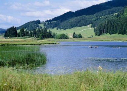 Le TETRAS gite pied des pistes 15