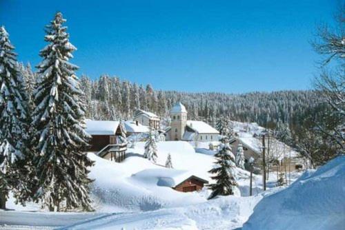 Le TETRAS gite pied des pistes 5