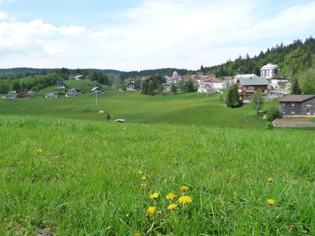 Le TETRAS gite pied des pistes 8
