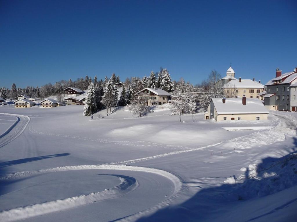 Le TETRAS gite pied des pistes 9