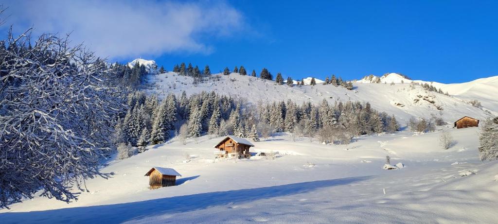 Le Taconet hotel pied des pistes 1