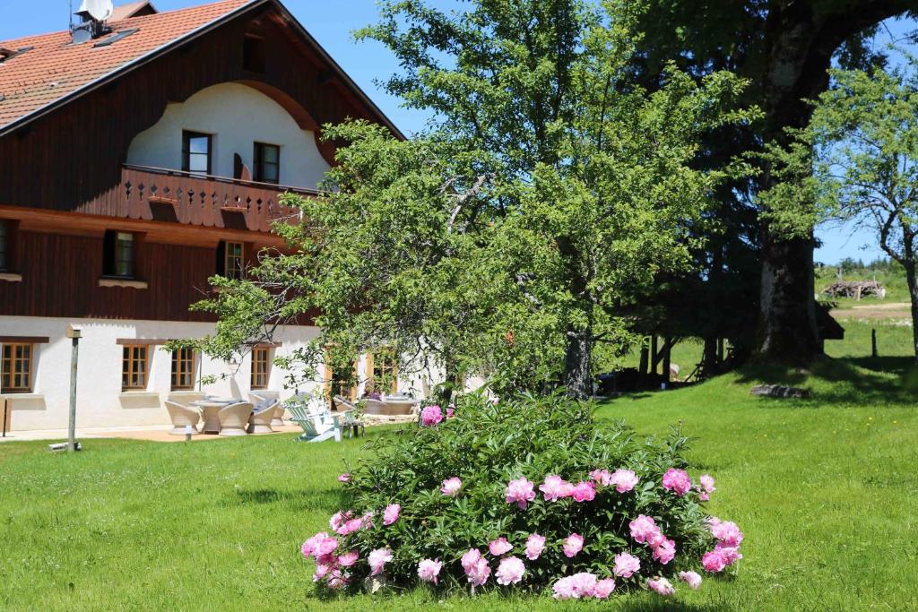 Le Tillau hotel pied des pistes
