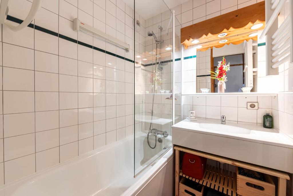 Le cheval blanc E7 appartement pied des pistes 19