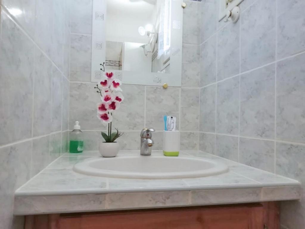 Le cocon du prorel appartement pied des pistes 15