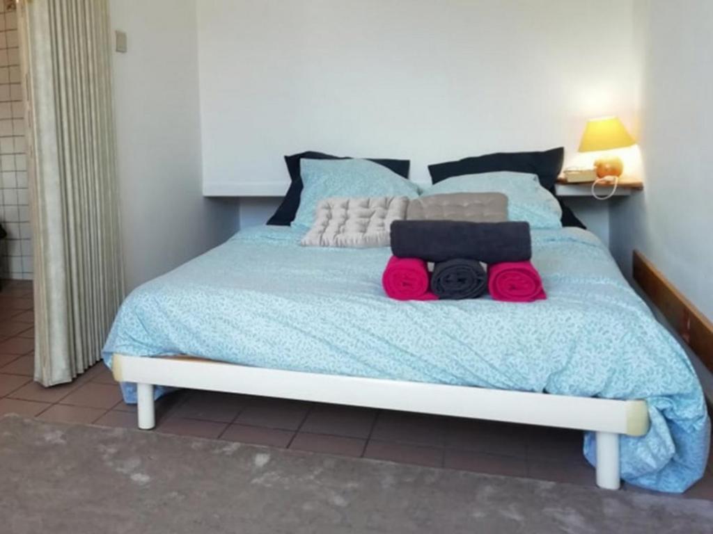 Le cocon du prorel appartement pied des pistes 6